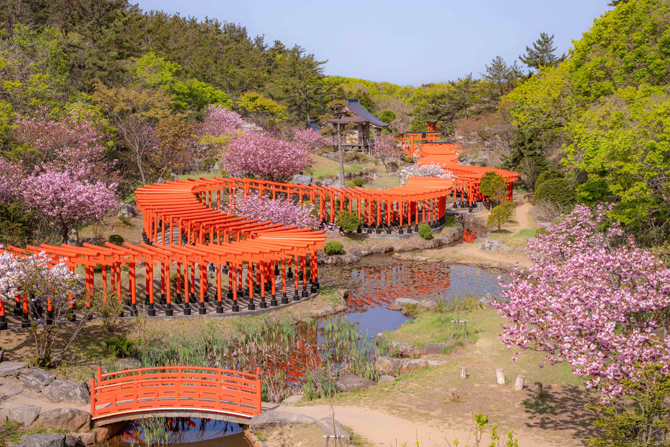 京都のインスタ映えで人気の写真撮影スポット 伏見稲荷大社の千本鳥居αのEVFが見せる世界