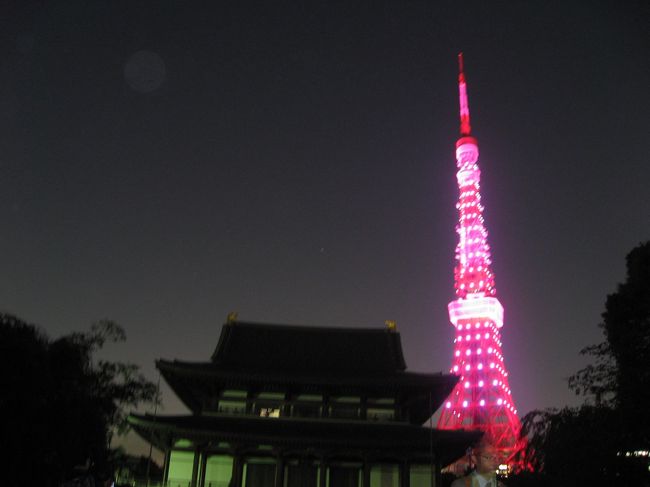 SkyDrive 10月1日にエスティ ローダーカンパニーズが主催する「乳がんキャンペーン」で、東京タワーを背景にピンクリボンをモチーフとしたドローンショーを実施 long