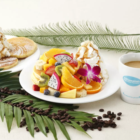 大阪カフェおすすめ！テイクアウトも可。オタクスポットと推し活のためのカフェTikTok