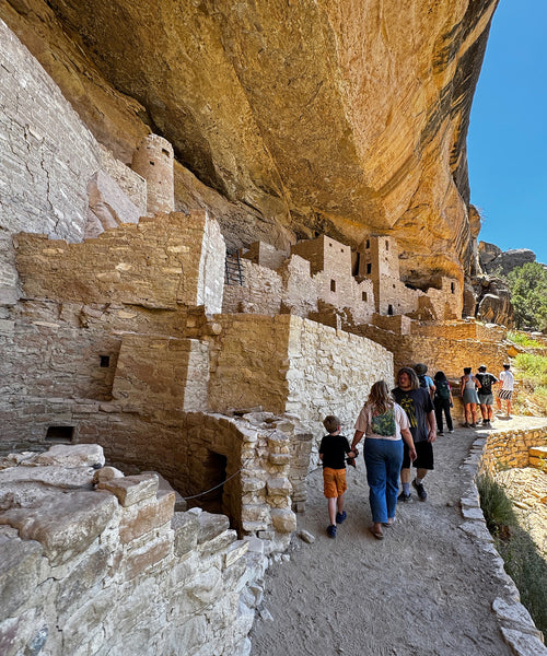 ドメーヌ アラン ビュルゲ ジュヴレ シャンベルタン