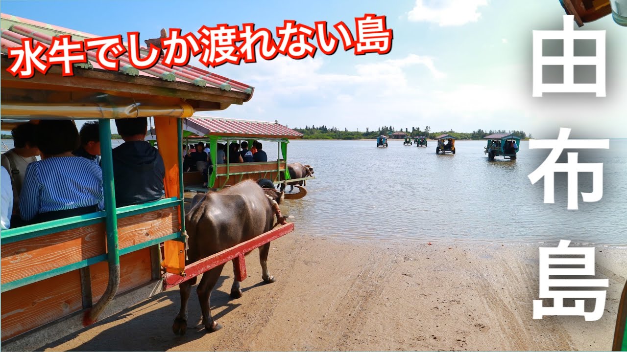 島から島へ水牛車でショートトリップ！一島まるごと亜熱帯の植物園「由布島へ」沖縄離島専門の観光情報サイト 沖縄しまさんぽ