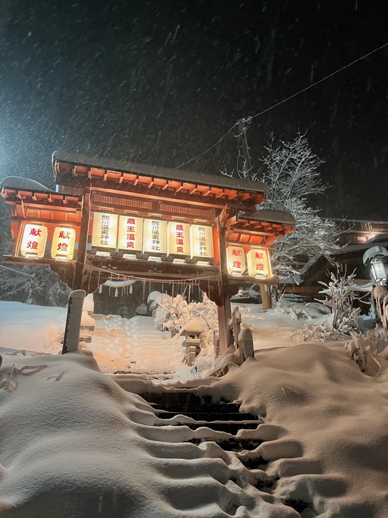 雪景色を見ながら贅沢旅！冬の東北旅行で乗りたいおすすめ観光列車4選 - LIVE JAPAN日本の旅行・観光・体験ガイド