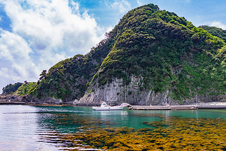 初めてのシュノーケリングへ！必要な持ち物も解説 伊豆編hirotyoブログ