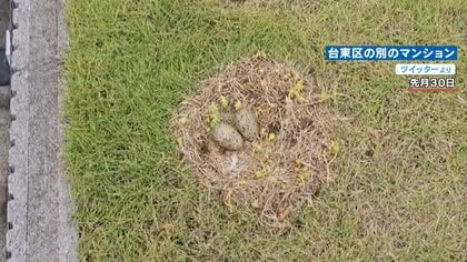 bp」納入事例株式会社オカムラ