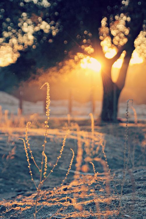 これは思わず撮って自慢したい！世界のフォトジェニックなカラフル絶景22選 - Tripa トリパ 旅のプロがお届けする旅行に役立つ情報