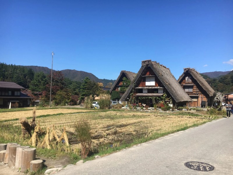 白川郷合掌造り集落のライトアップ 10428000291 の写真・イラスト素材アマナイメージズ