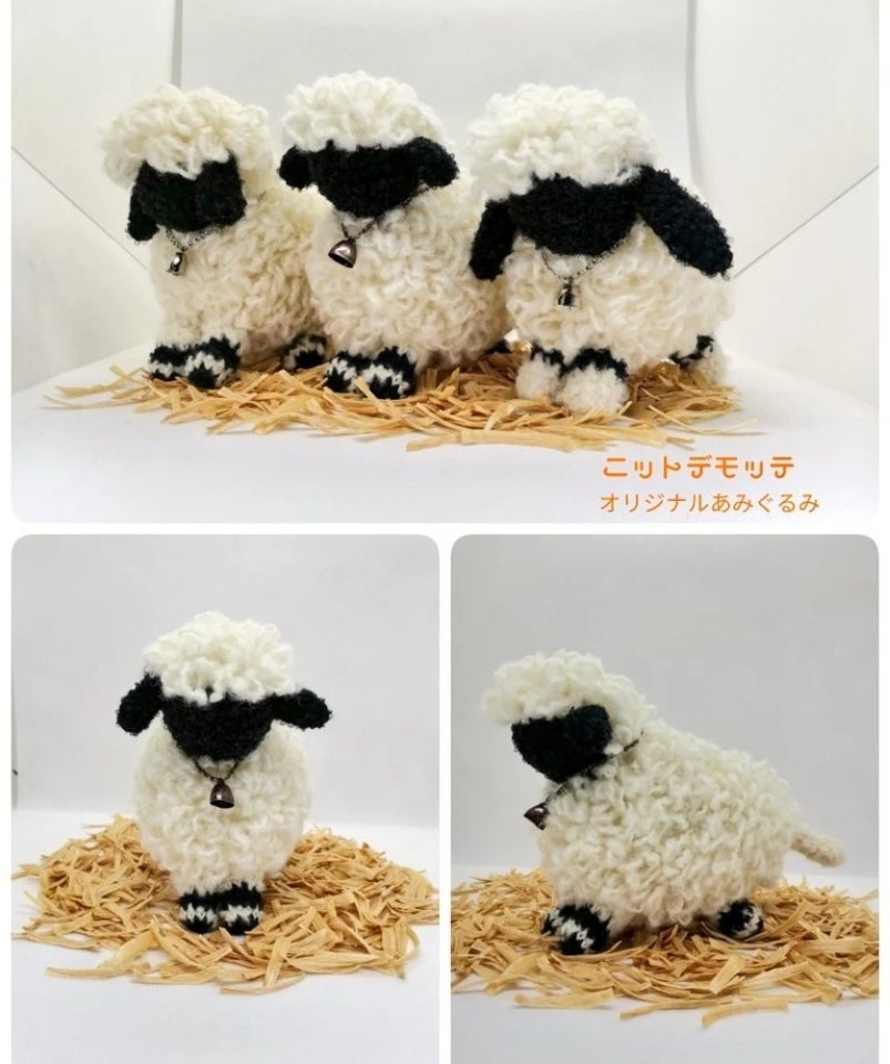 マッターホルンの麓に住む希少種「ヴァレーブラックノーズ」 – 世界羊旅