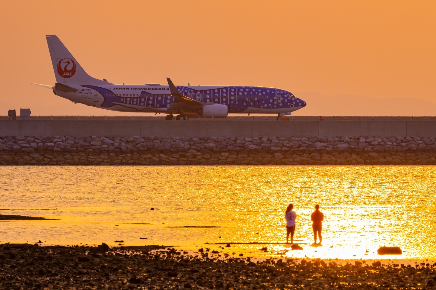 空港で上手に「飛行機撮影」するには？ 那覇空港編 プロが教える人気スポット飛行機の旅All