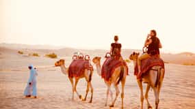 デザートサファリディナー付アブダビ 旅行の観光・オプショナルツアー予約 VELTRA