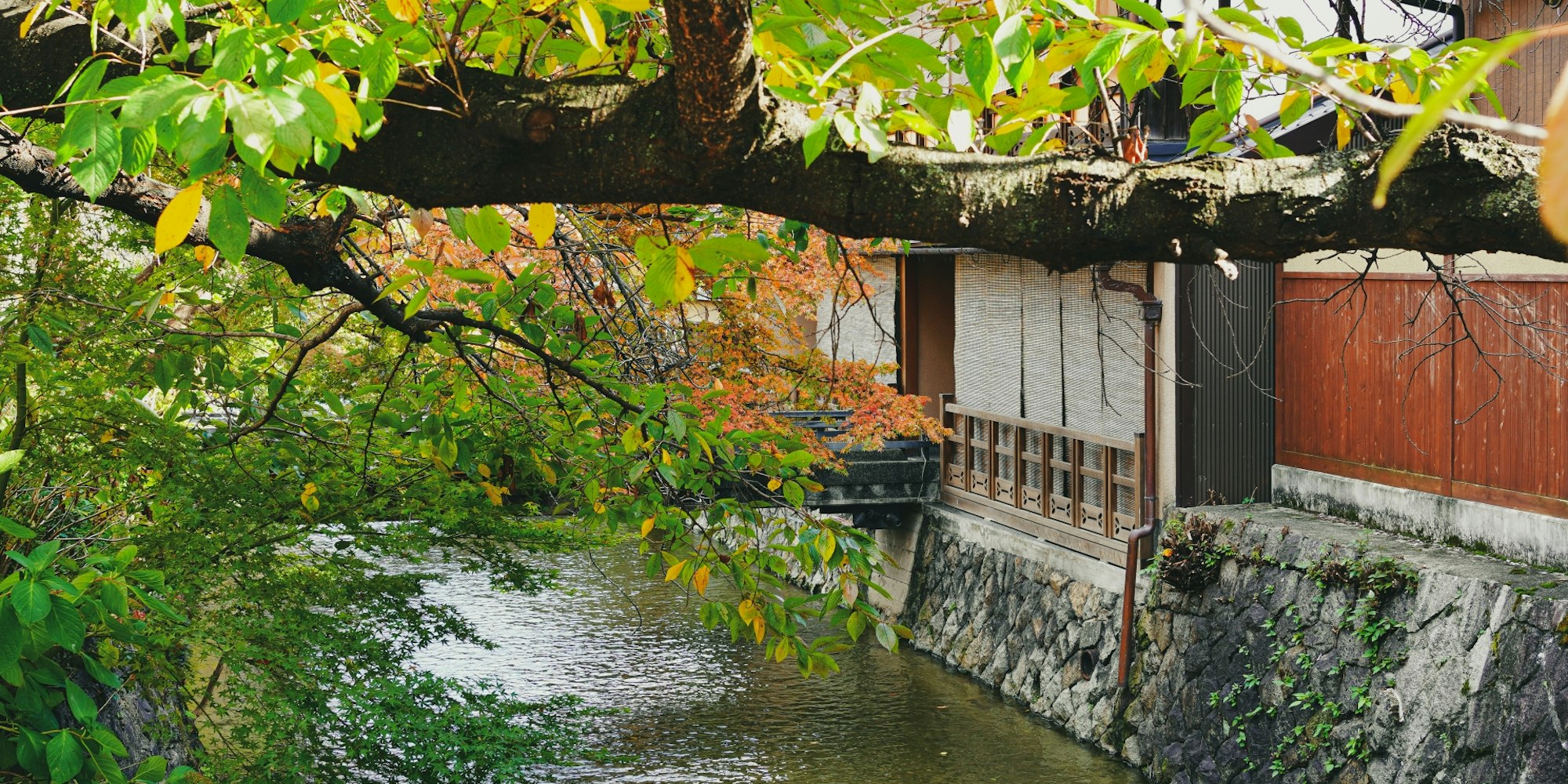 京都観光 祇園食べ歩きマップ28選！祇園四条のおすすめグルメ・スイーツ満載