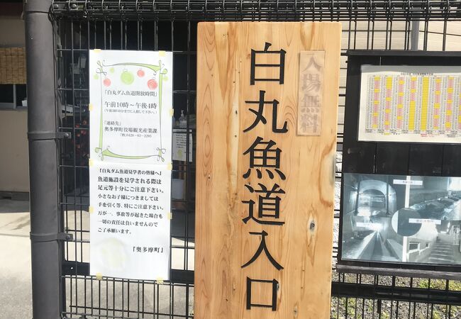 web 白丸ダム魚道