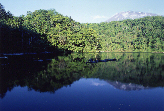 ニセコ「半月湖」トレッキング: ニセコブログ -ニセコでのご宿泊は泉郷コテージへ