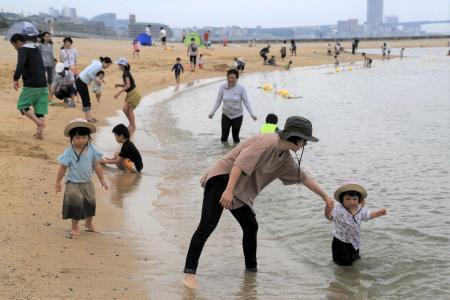 須磨と比べると - 大蔵海岸のクチコミ