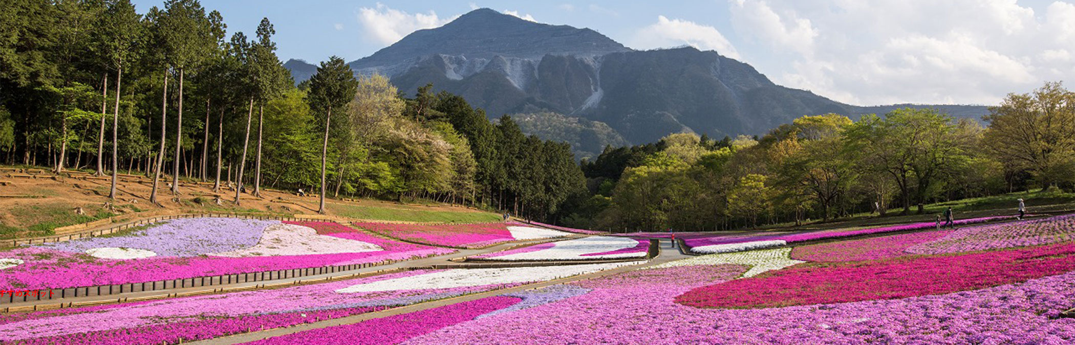 秩父・長瀞のおすすめ観光レジャー13選！埼玉県民が人気から穴場まで紹介さいたまっぷる