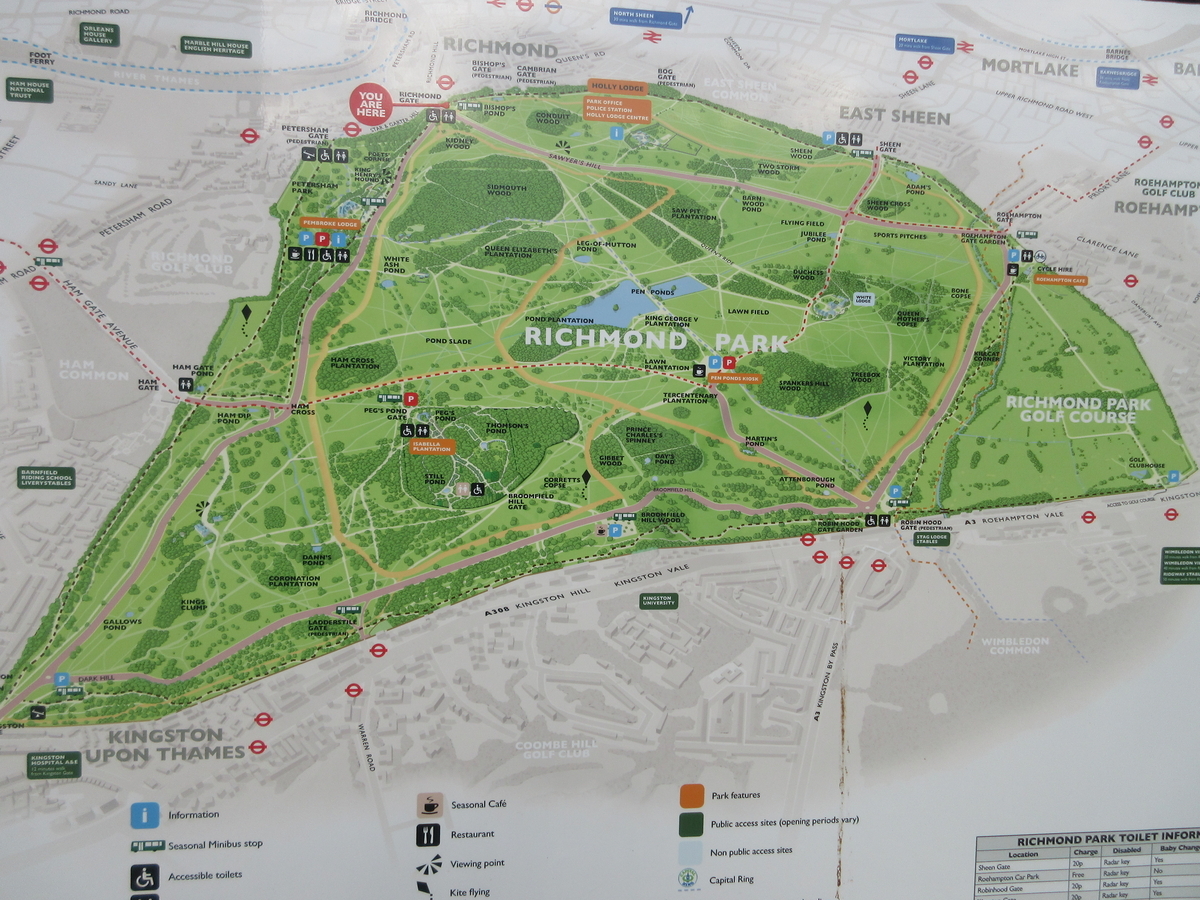 お洒落なロンドン案内、リッチモンド編ロンドン観光