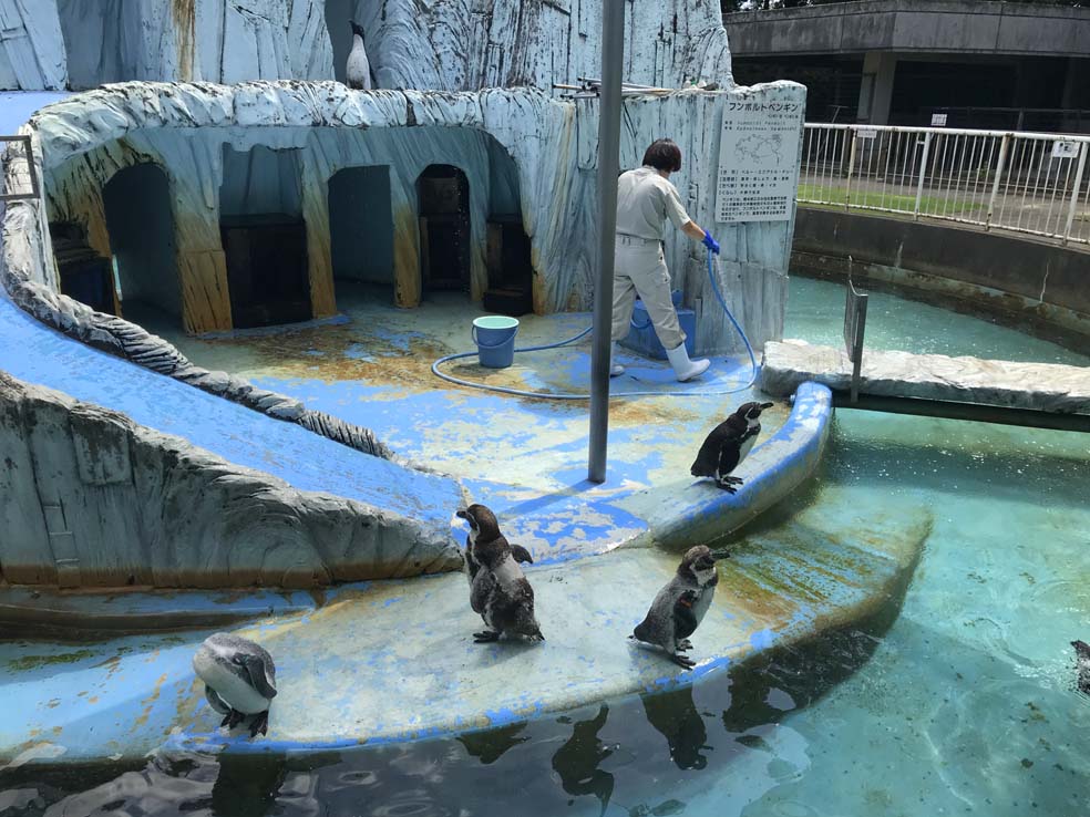 遊ぶ遊具が目白押し！「高岡おとぎの森公園」ブログ富山の賃貸マンションはお部屋ハッケン物語