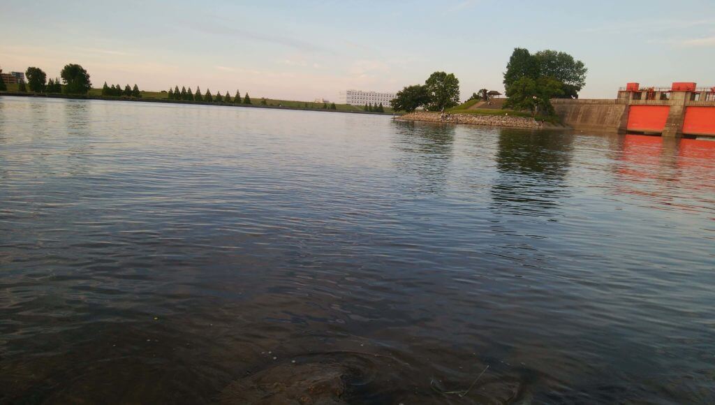 岩渕水門真っ昼間にシーバス2匹！みっちーの釣りブログα