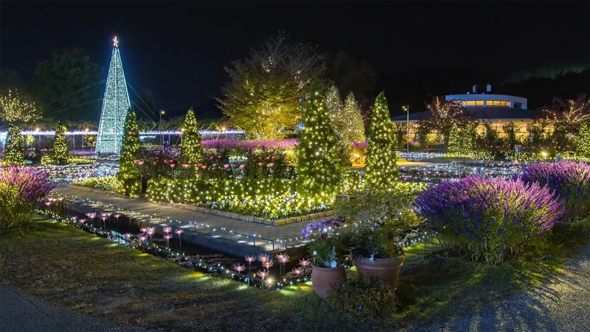 あしかがフラワーパーク「光の花の庭」足利市 のライトアップ時間などイルミネーションガイド2024-2025 -