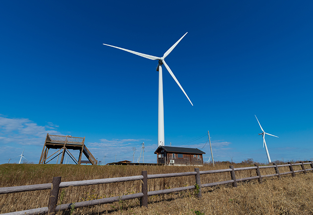 あわら夢ぐるま公園子供とお出かけ情報「いこーよ」