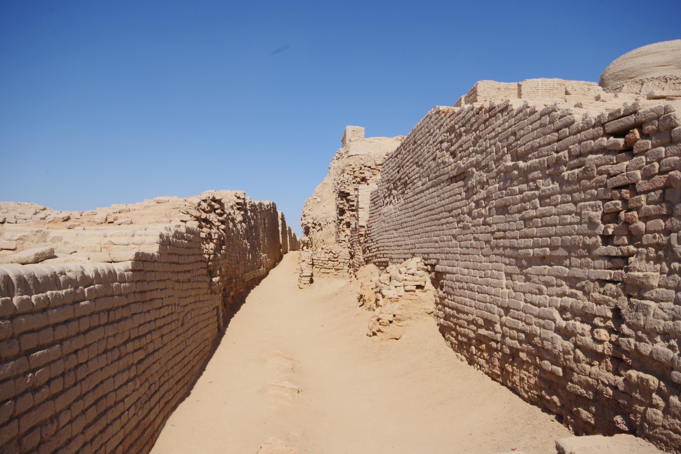 専門家がモヘンジョ・ダロから離れた場所で古代の建造物や人工物を発見パキスタン情報セクション