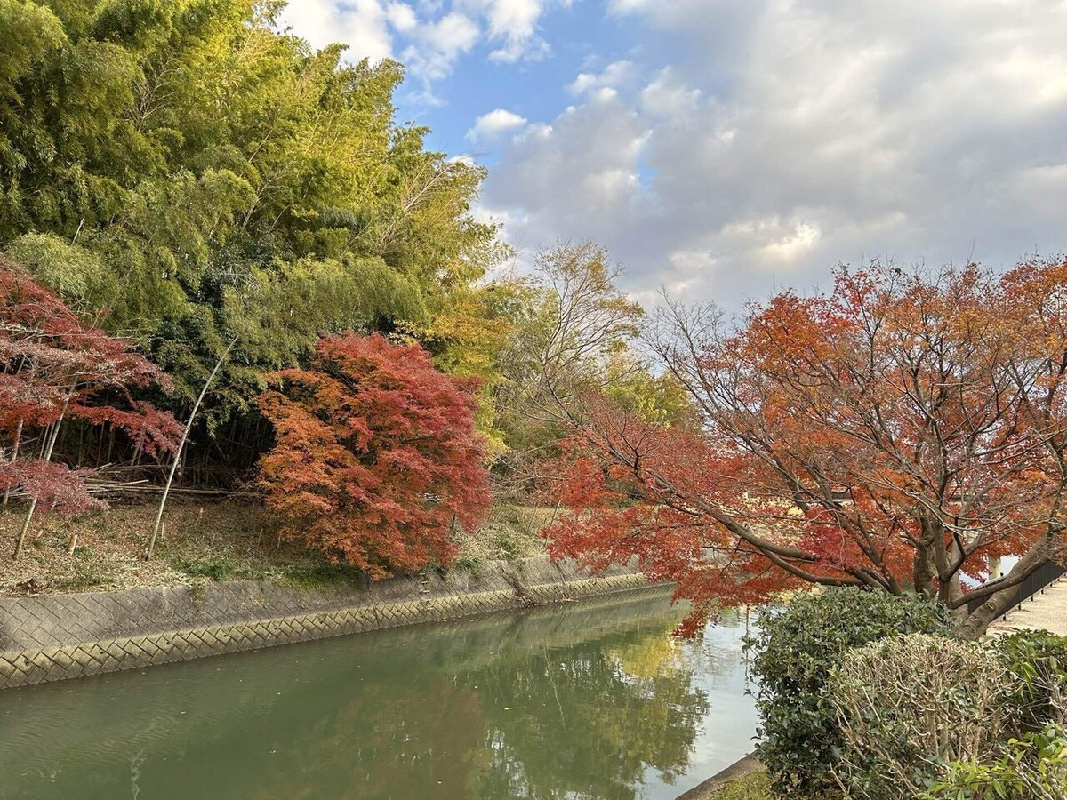 三室山の桜と竜田川 奈良県の写真素材FYI05095975ストックフォトの Qlean Market キュリンマーケット