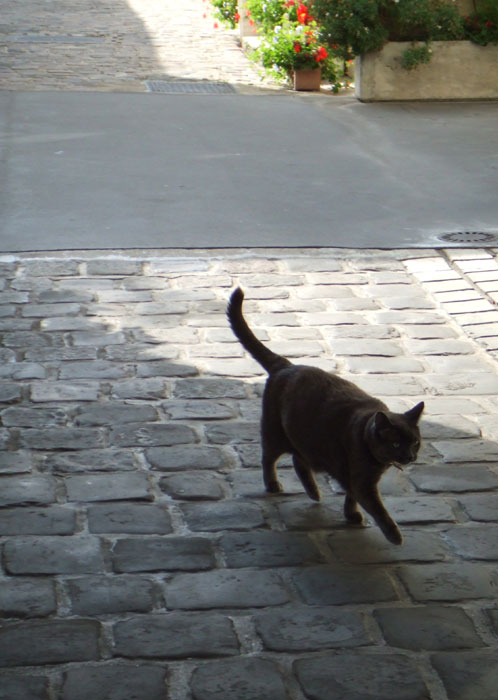 ミラノ ピンクの石畳パリ、東京 L'ambiance