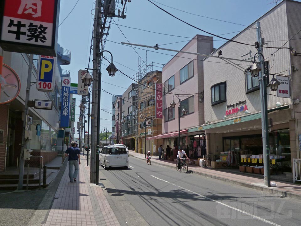 稲田堤駅周辺の住みやすさを知る神奈川県 アットホーム タウンライブラリー