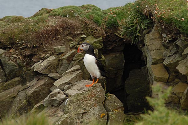 5500年前の遺跡が今も残るアラン諸島！イニシィア島で古代ケルト文化の息吹を感じる旅！ - GOTRIP