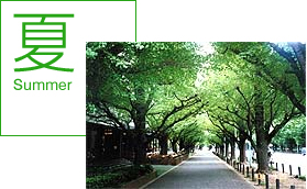 アクセスマップ 日曜・祝祭日の外苑円周道路交通規制についてアクセス・駐車場明治神宮野球場