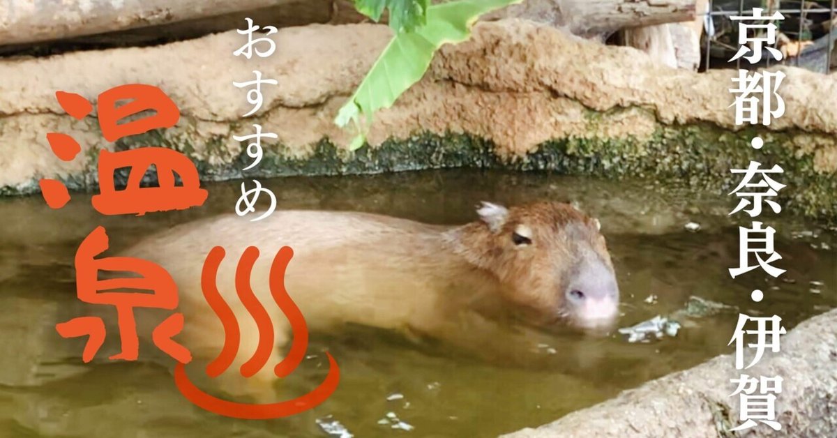 洞川温泉のおすすめ温泉7選日帰り入浴可能な施設や隠れた人気の散策スポットもご紹介 - かんでんWITH