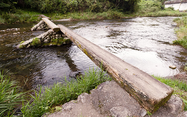 2025年 若井沈下橋 -