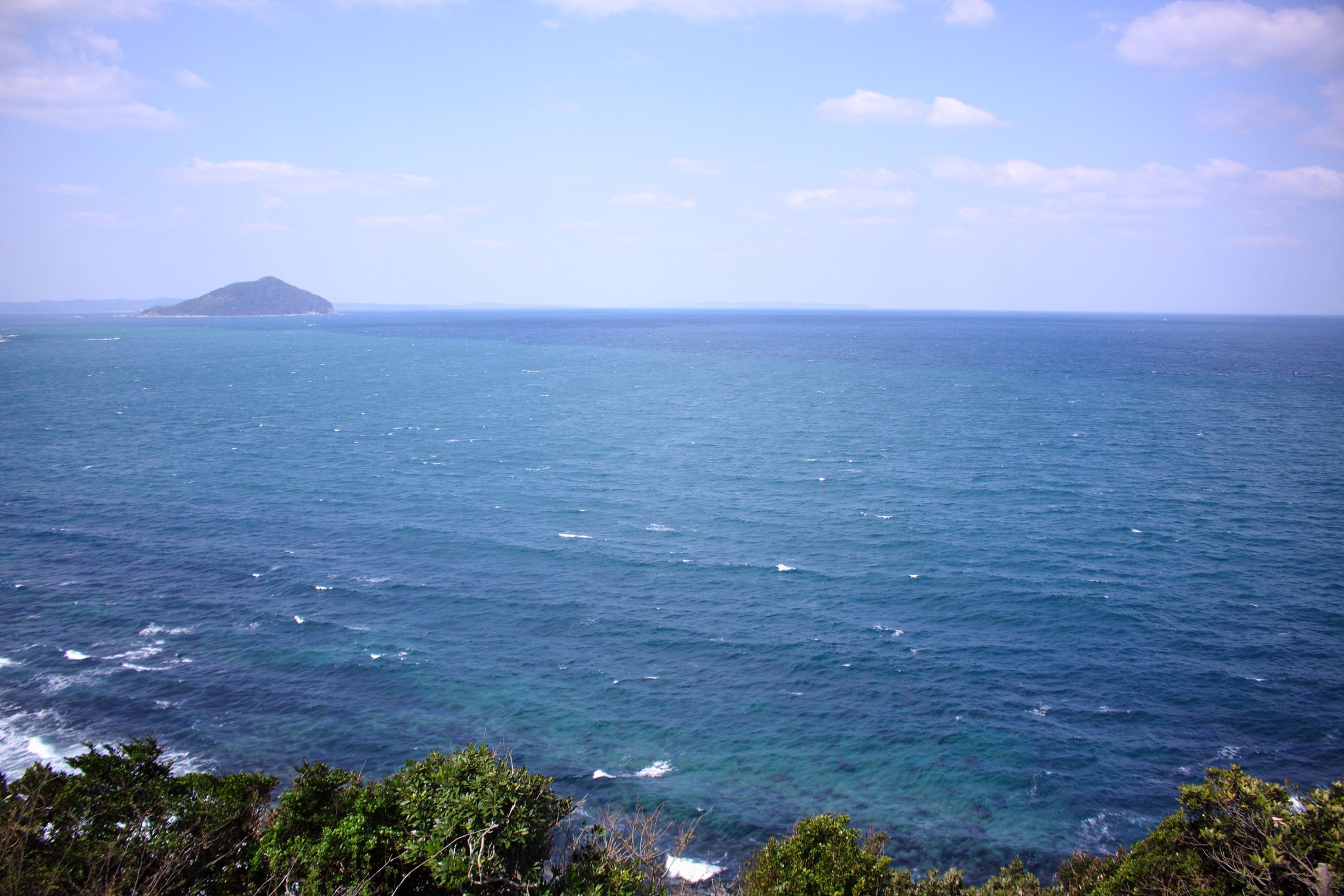 そこはまるでジブリの世界！糸島の トトロの森糸島の不動産屋BAYLEAF