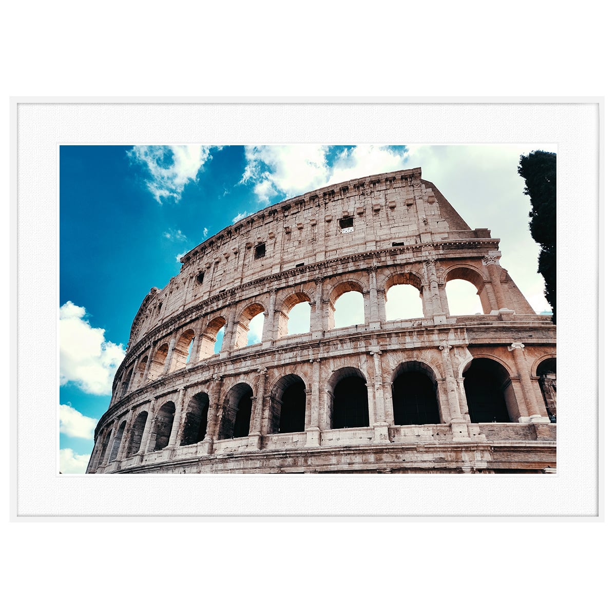 イタリア、コロッセオの中の写真素材22309576- PIXTA