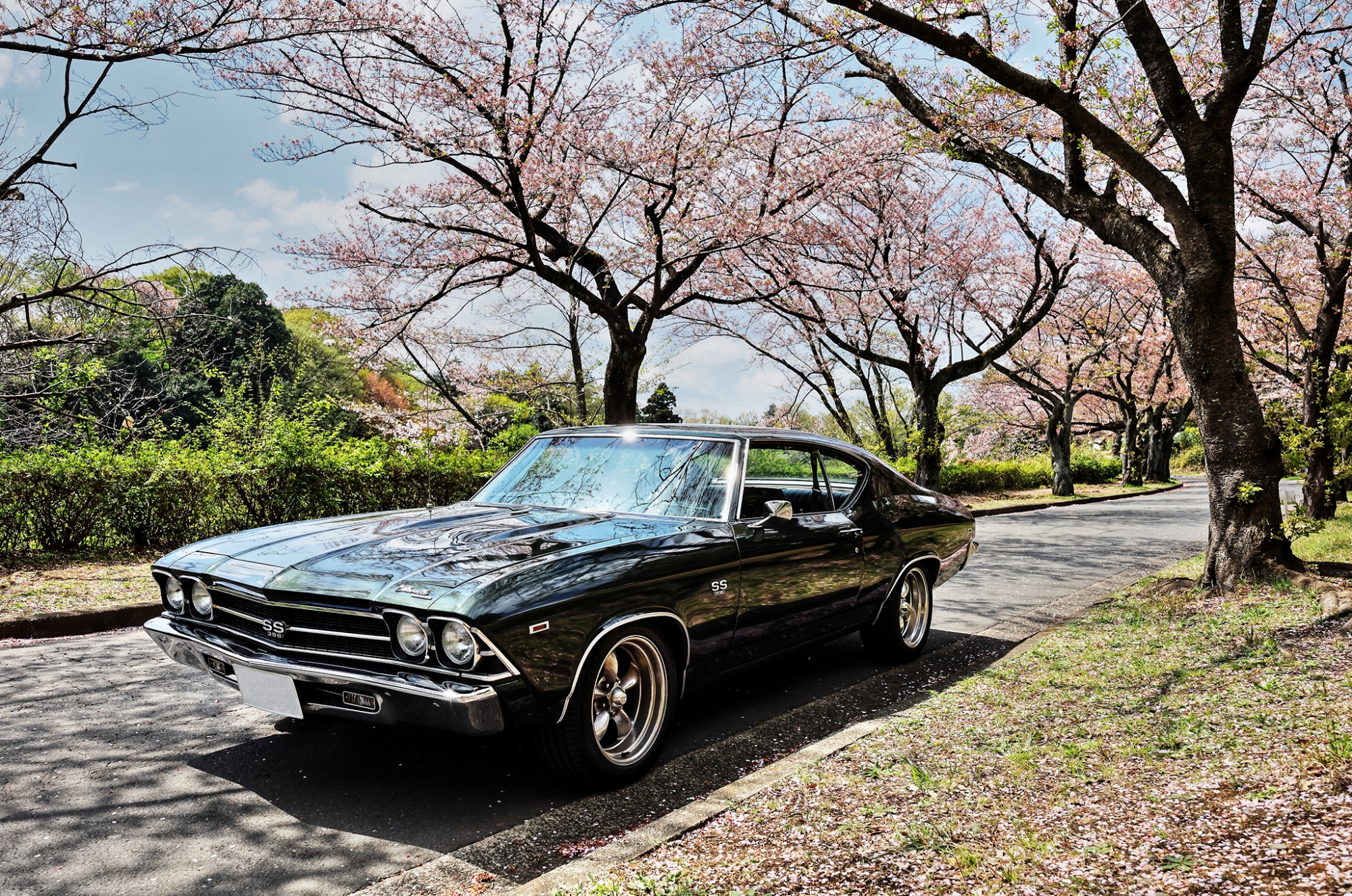 シボレー マリブに適合する シェベルに適合する I6に適合する