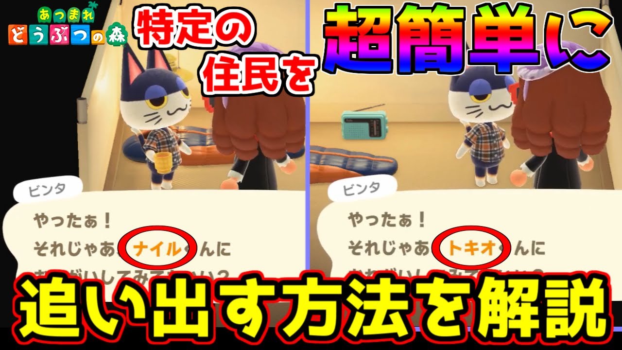 あつ森 キャンプサイト厳選の効率的なやり方！性格被り来ない？時間戻すと？入れ替えはランダム？ あつまれどうぶつの森 SACHI