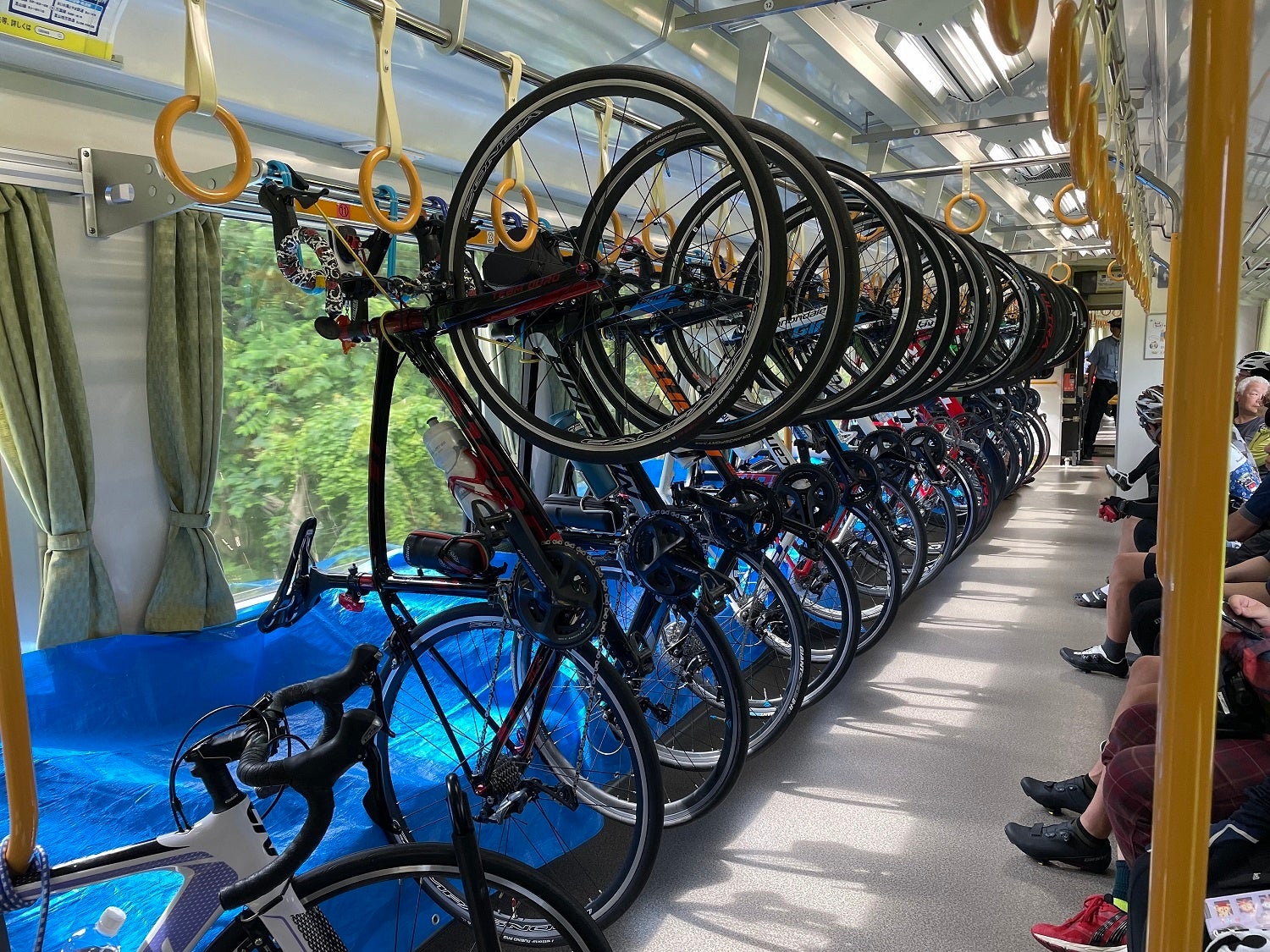 南小谷駅周辺 紅葉2025 子供の遊び場・お出かけスポットいこーよ