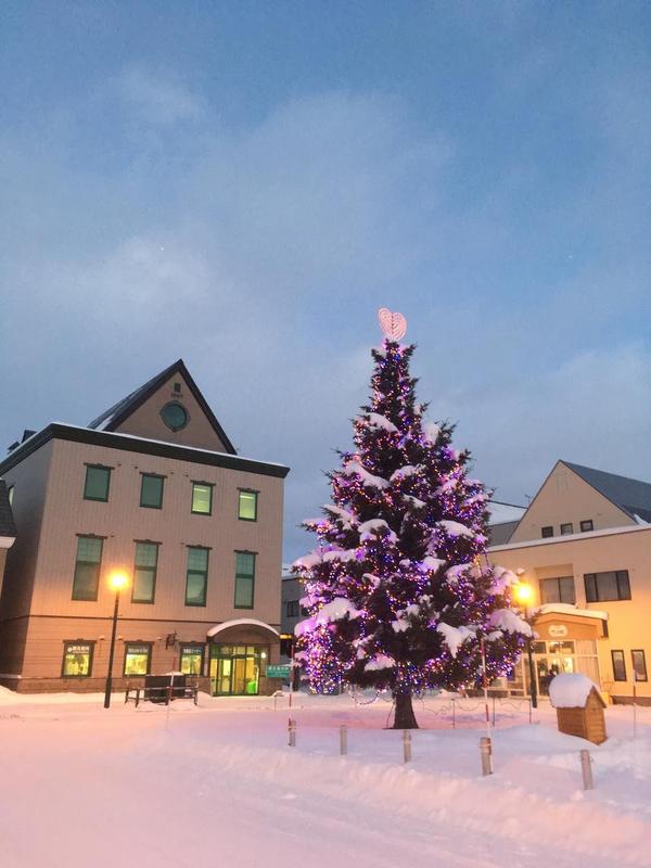 北海道上川郡観光バス 有 光交通富良野・美瑛・旭川旅行手配貸切バス