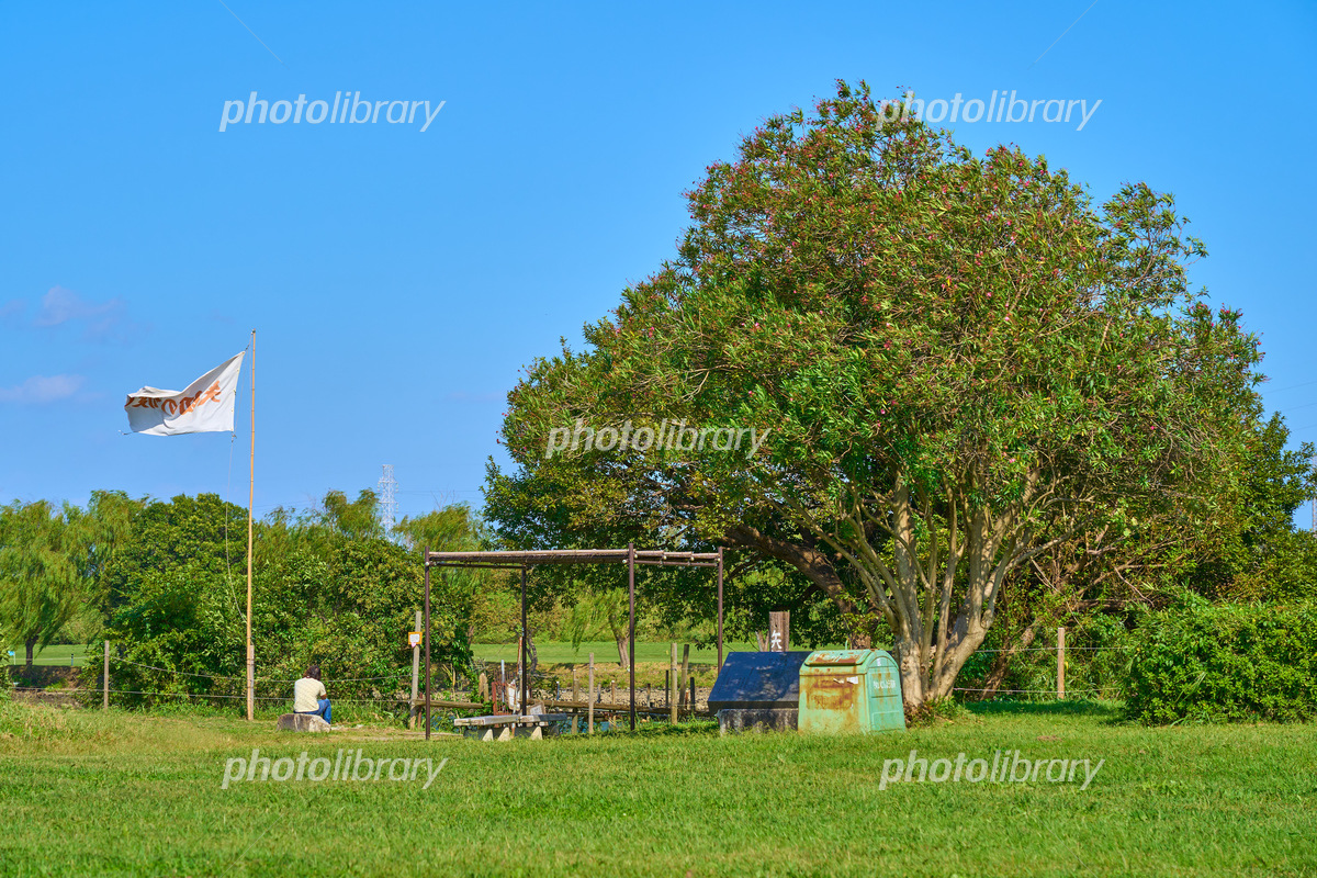 矢切の渡し 柴又渡船場agataJapan.tokyo