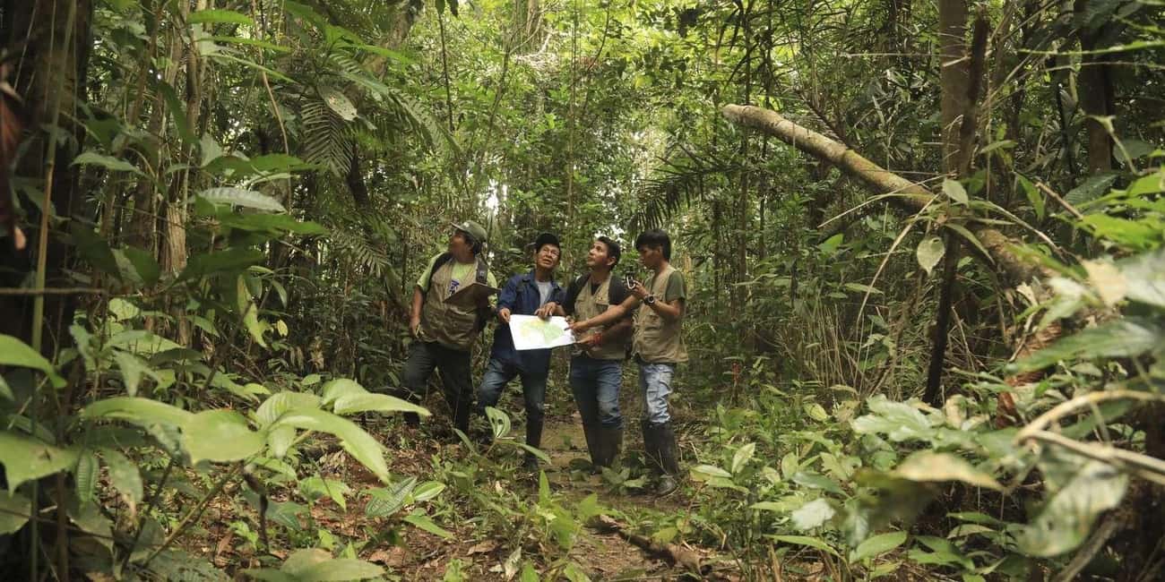 アマゾン川クルーズの魅力iCruise クルーズ専門デスク