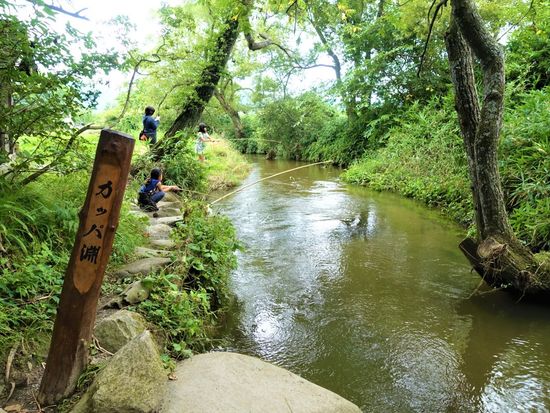 遠野物語』をめぐる伝承園・カッパ淵コース遠野時間遠野市観光情報サイト