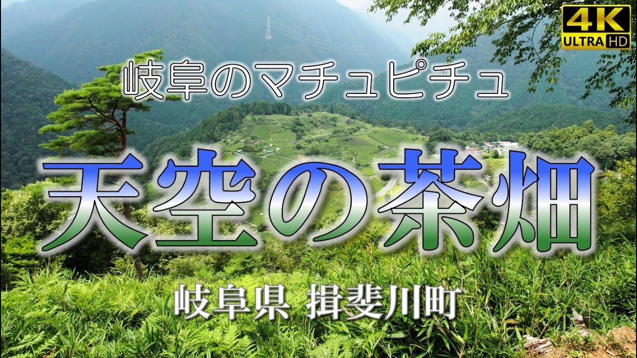 岐阜のマチュピチュ！「天空の茶畑」へ行ってきました！行き方とかお茶処とか