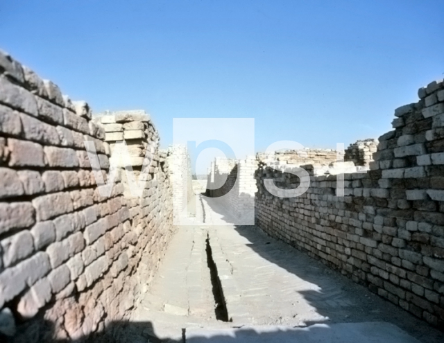 モヘンジョダロ遺跡