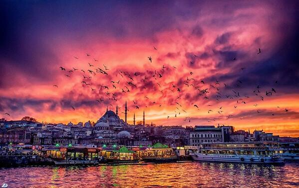 最新 金角湾 - チケット、営業時間、口コミ、写真2025年Trip.com