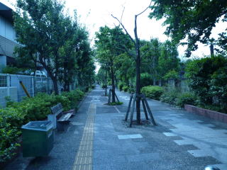 廃線散歩 2.国鉄下河原線とまと