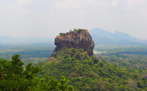 希少なバランゴダ産天然ブルームーンストーン原石 4.900ctsMO590- 128,898円