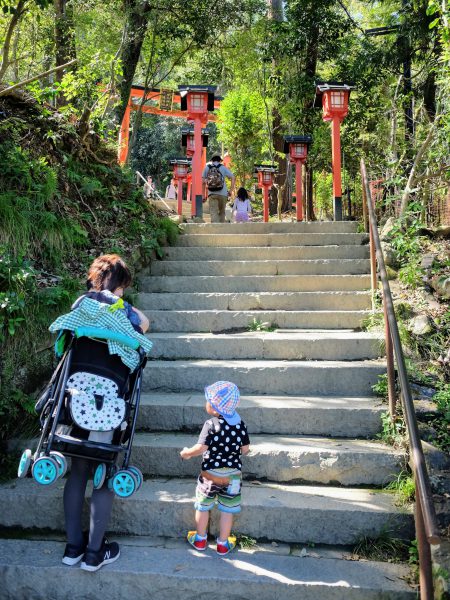 野生のサルの楽園「嵐山モンキーパーク」へ行ってみよう！ 京都 おでかけK PRESS web