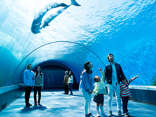 横浜市 地図 - 旅行のとも、ZenTech