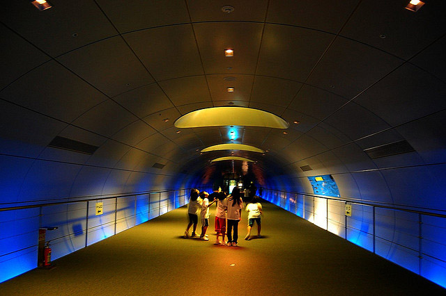 総工費176億円の廃墟 「なにわの海の時空館」跡地に潜入！再整備を控えた“負の遺産”の現在地。 ぼっちのazumiさん- エキスパート -Yahoo!ニュース