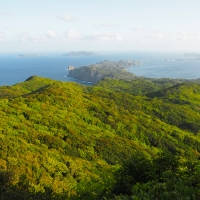 コペペ海岸 - 小笠原の口コミ