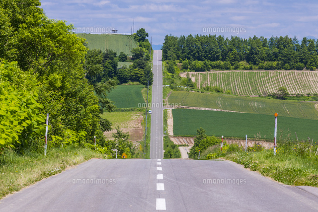 ジェットコースターの路 アップダウンの激しいまっすぐに伸びる道北海道の観光・絶景を紹介！北海道プレス